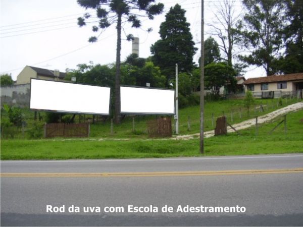 Rod da uva com Escola de Adestramento